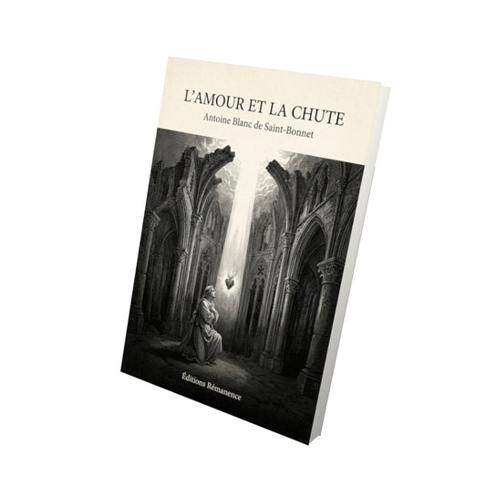Livre L'amour et la chute - Antoine Blanc de Saint-Bonnet - Vue 3D - Editions Remanence