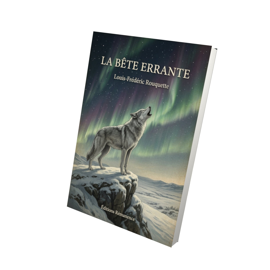 Livre La Bête Errante - Louis-Frédéric Rouquette - Vue 3D - Editions Remanence
