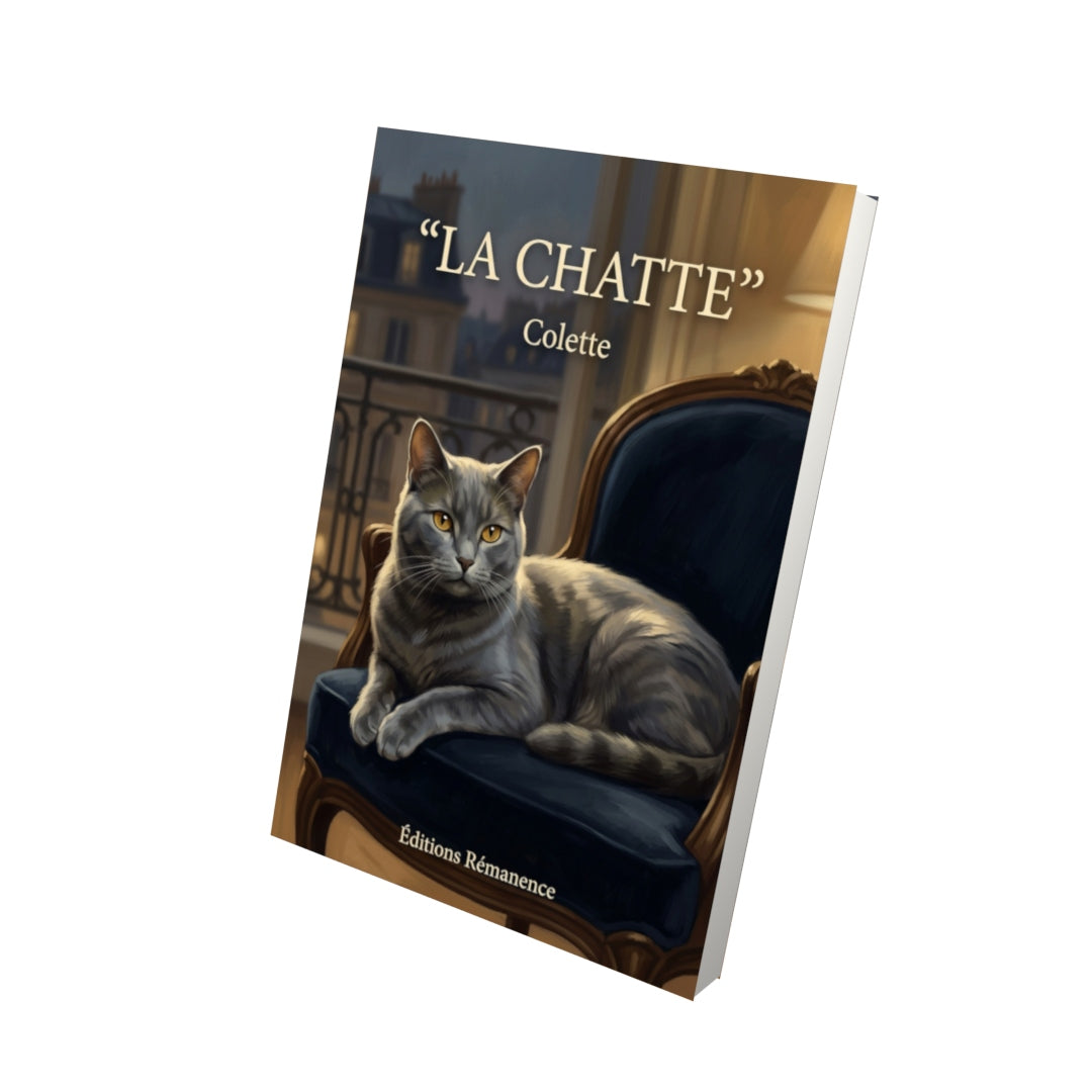 Livre La Chatte par Colette - Vue 3D - Editions Remanence