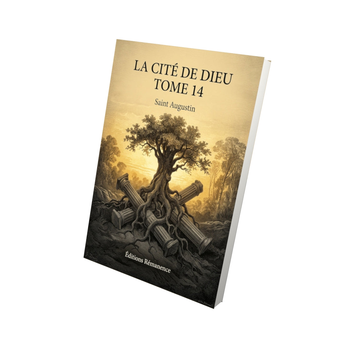 Livre La cité de Dieu Tome 14 - Saint Augustin - Vue 3D - Editions Remanence
