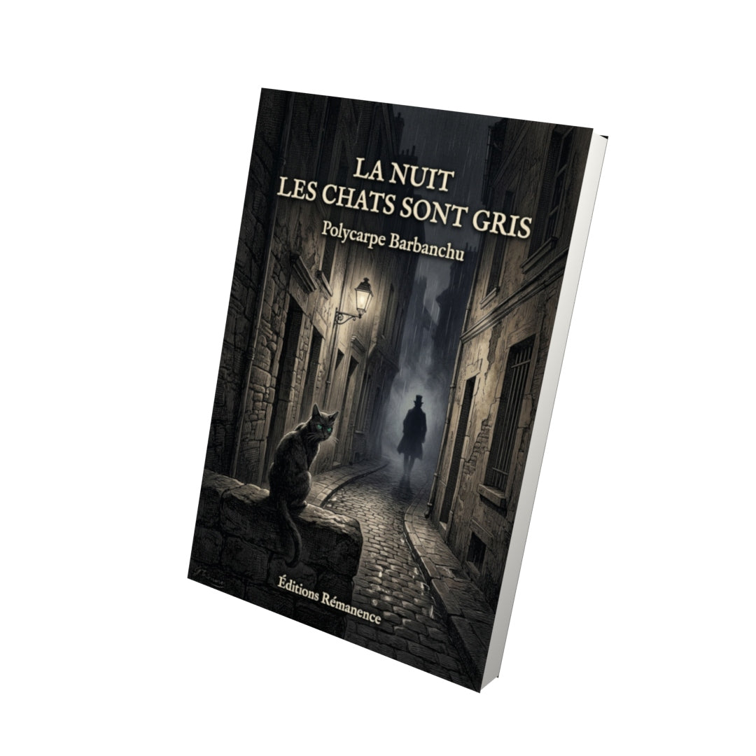 Livre La nuit les chats sont gris par Polycarpe Barbanchu - Vue 3D - Editions Remanence