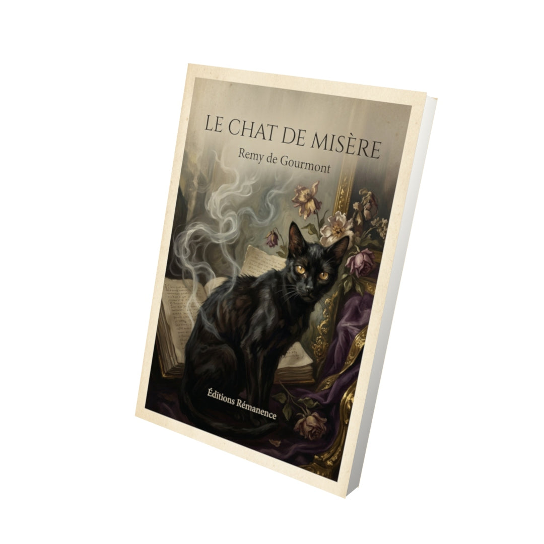 Livre Le chat de misère - Remy de Gourmont - Vue 3D - Editions Remanence