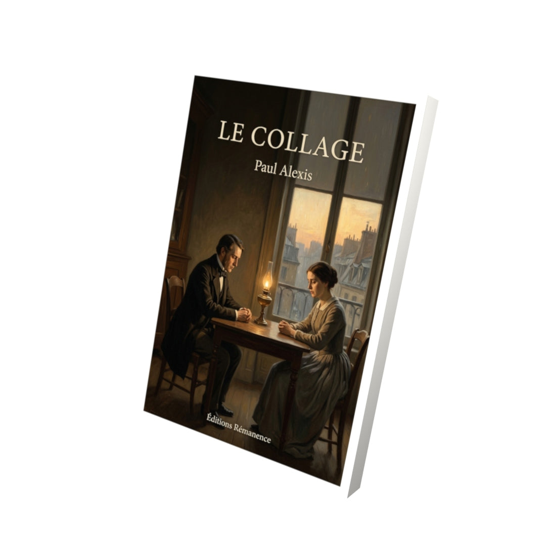 Livre Le Collage par Paul Alexis - Vue 3D - Editions Remanence