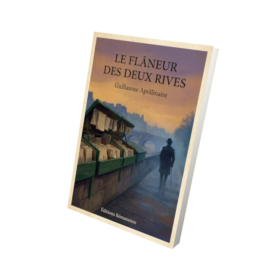 Livre Le flâneur des deux rives - Guillaume Apollinaire - Vue 3D - Editions Remanence