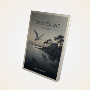 Le goéland - Jean Balde