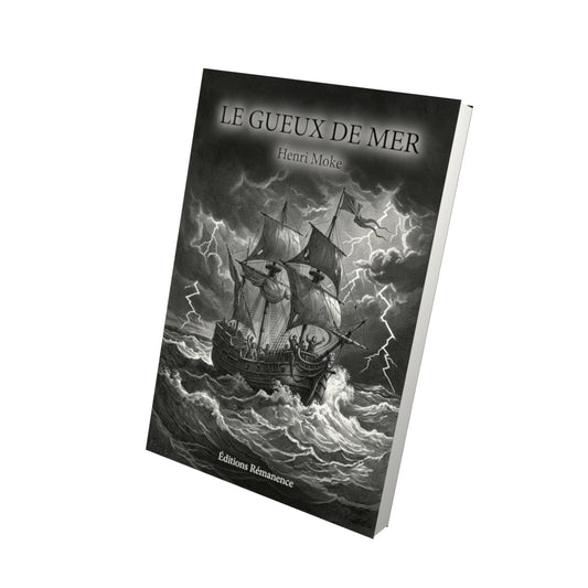 Livre Le Gueux de Mer par Henri Moke - Vue 3D - Editions Remanence