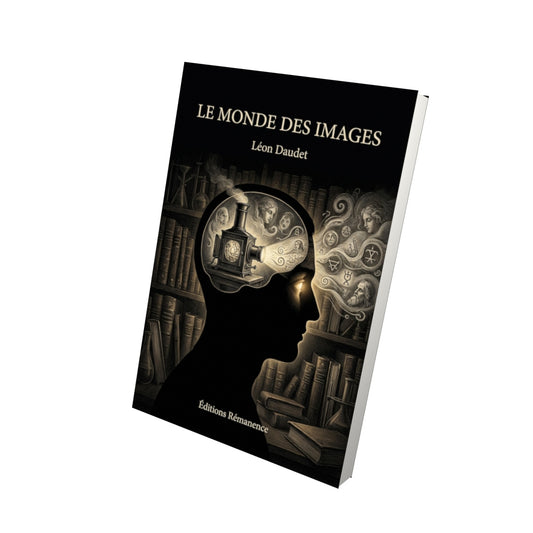 Livre Le monde des images par Léon Daudet - Vue 3D - Editions Remanence