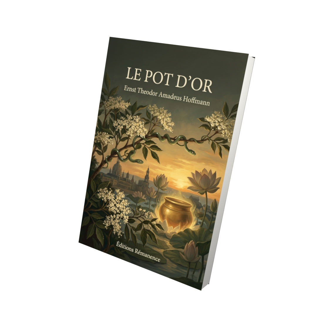 Livre Le Pot d’or par Ernst Theodor Amadeus Hoffmann - Vue 3D - Editions Remanence
