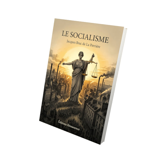 Livre Le socialisme - Jacques Brac de La Perrière - Vue 3D - Editions Remanence