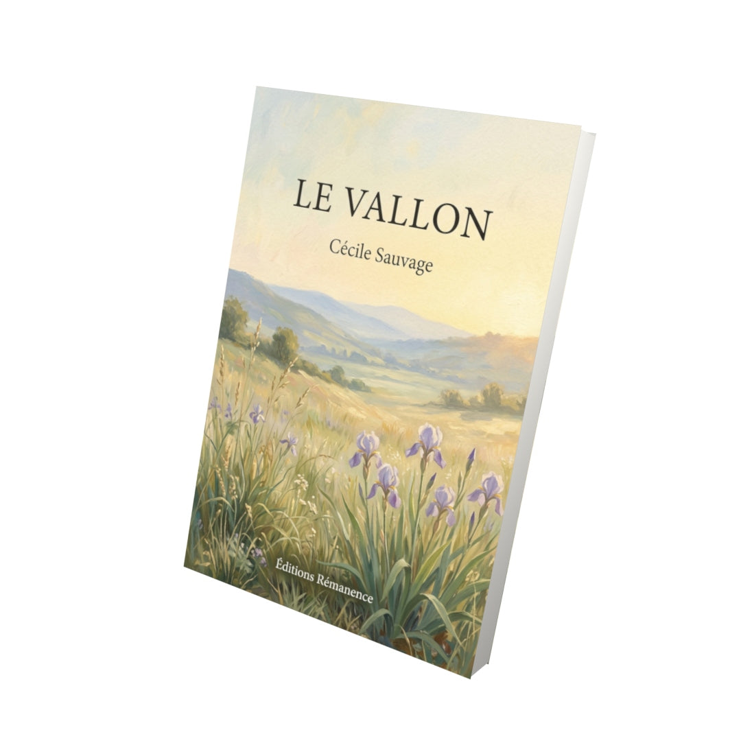 Livre Le Vallon par Cécile Sauvage - Vue 3D - Editions Remanence