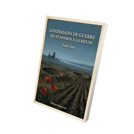 Livre Lendemains de Guerre des Flandres à la Meuse - Émile Tatin - Vue 3D - Editions Remanence
