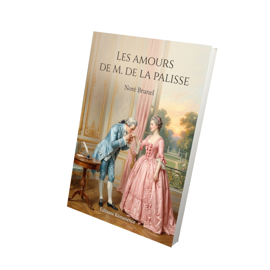 Livre Les Amours de M. de la Palisse par Noré Brunel - Vue 3D - Editions Remanence