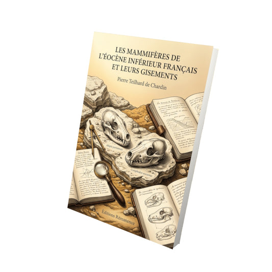 Livre Les Mammifères de l’éocène inférieur français et leurs gisements par Pierre Teilhard de Chardin - Vue 3D - Editions Remanence