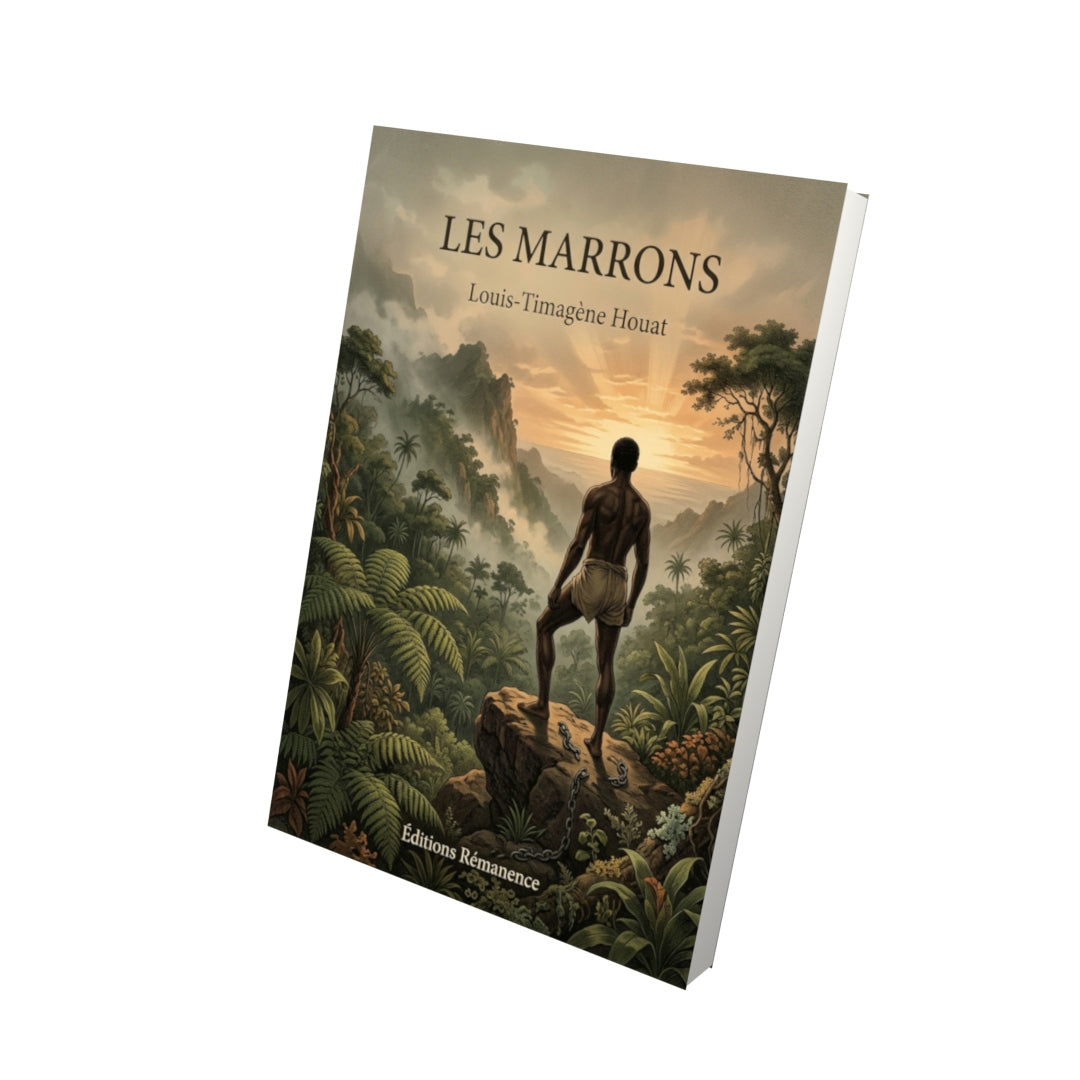 Livre Les Marrons par Louis-Timagène Houat - Vue 3D - Editions Remanence