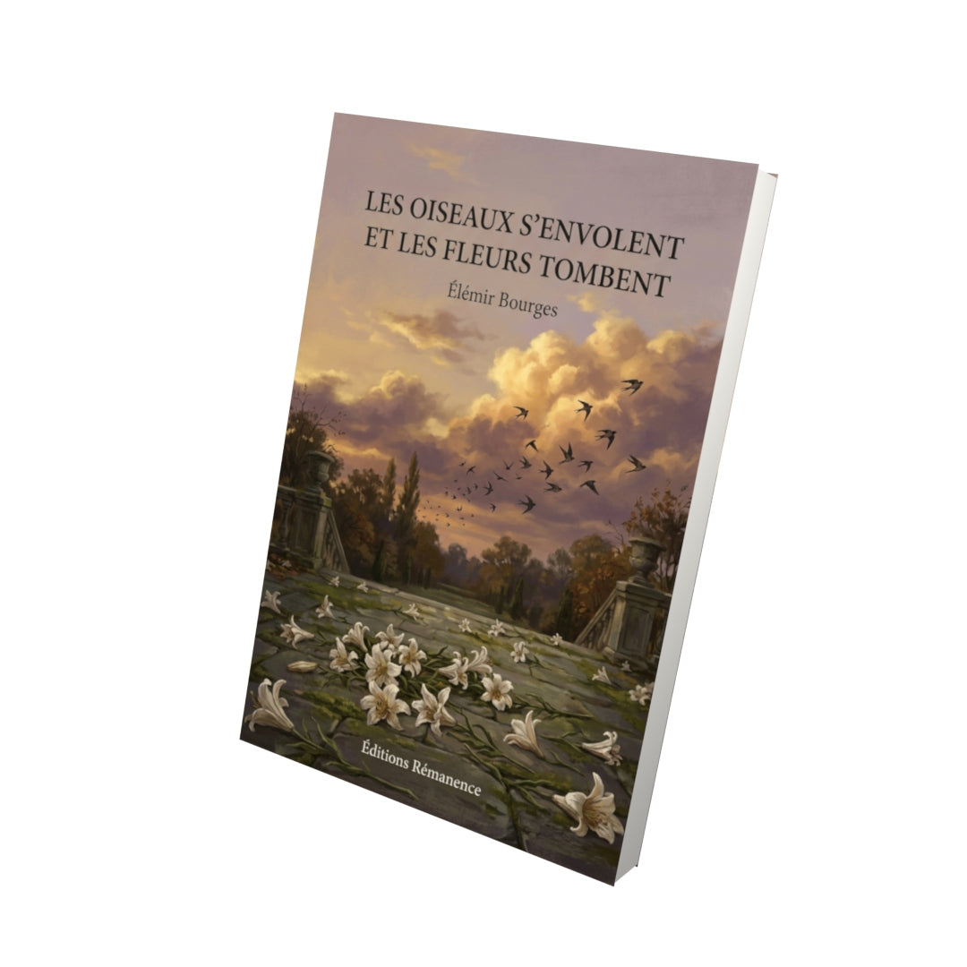 Livre Les Oiseaux s’envolent et les fleurs tombent par Élémir Bourges - Vue 3D - Editions Remanence