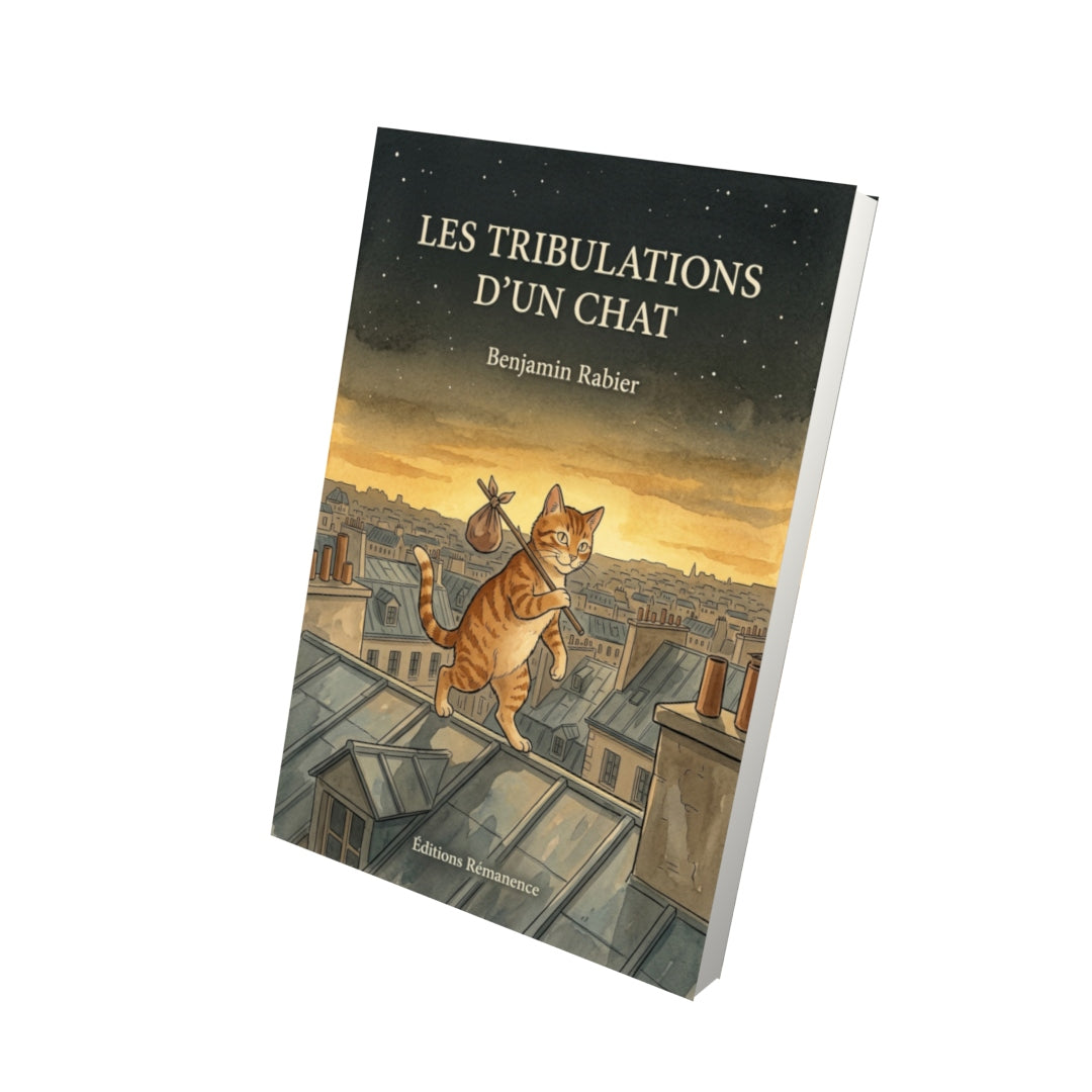 Livre Les tribulations d'un chat par Benjamin Rabier - Vue 3D - Editions Remanence