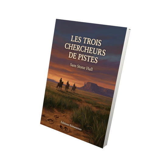 Livre Les trois chercheurs de pistes par Sam Stone Hall - Vue 3D - Editions Remanence