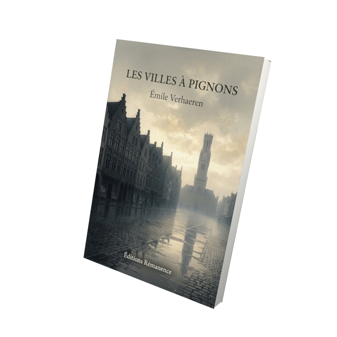 Livre Les Villes à pignons par Émile Verhaeren - Vue 3D - Editions Remanence
