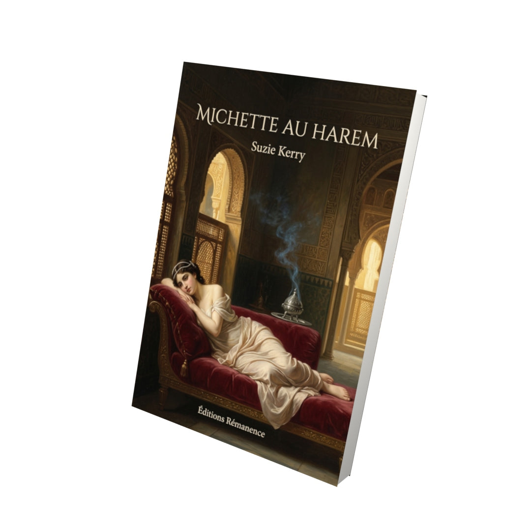 Livre Michette au harem par Suzie Kerry - Vue 3D - Editions Remanence