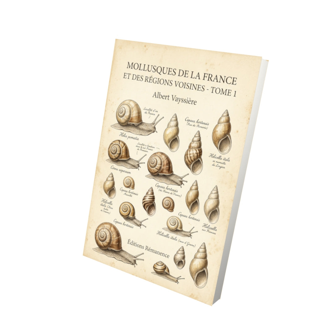 Livre Mollusques de la France et des régions voisines - Tome 1 par Albert Vayssière - Vue 3D - Editions Remanence