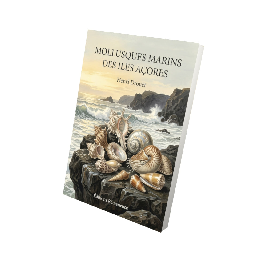 Livre Mollusques marins des Iles Açores par Henri Drouët - Vue 3D - Editions Remanence