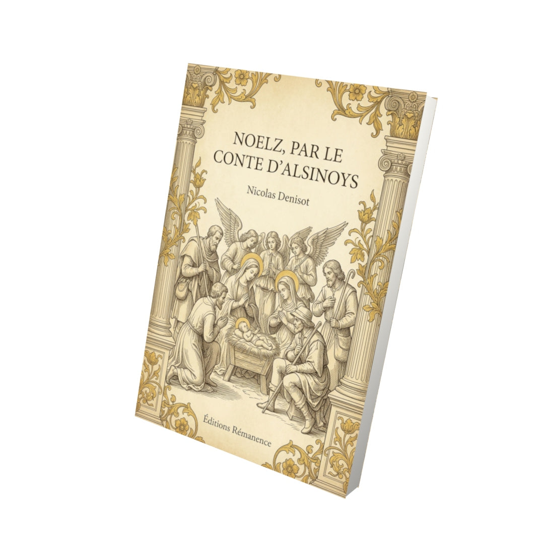 Livre Noelz, par le conte d’Alsinoys par Nicolas Denisot - Vue 3D - Editions Remanence