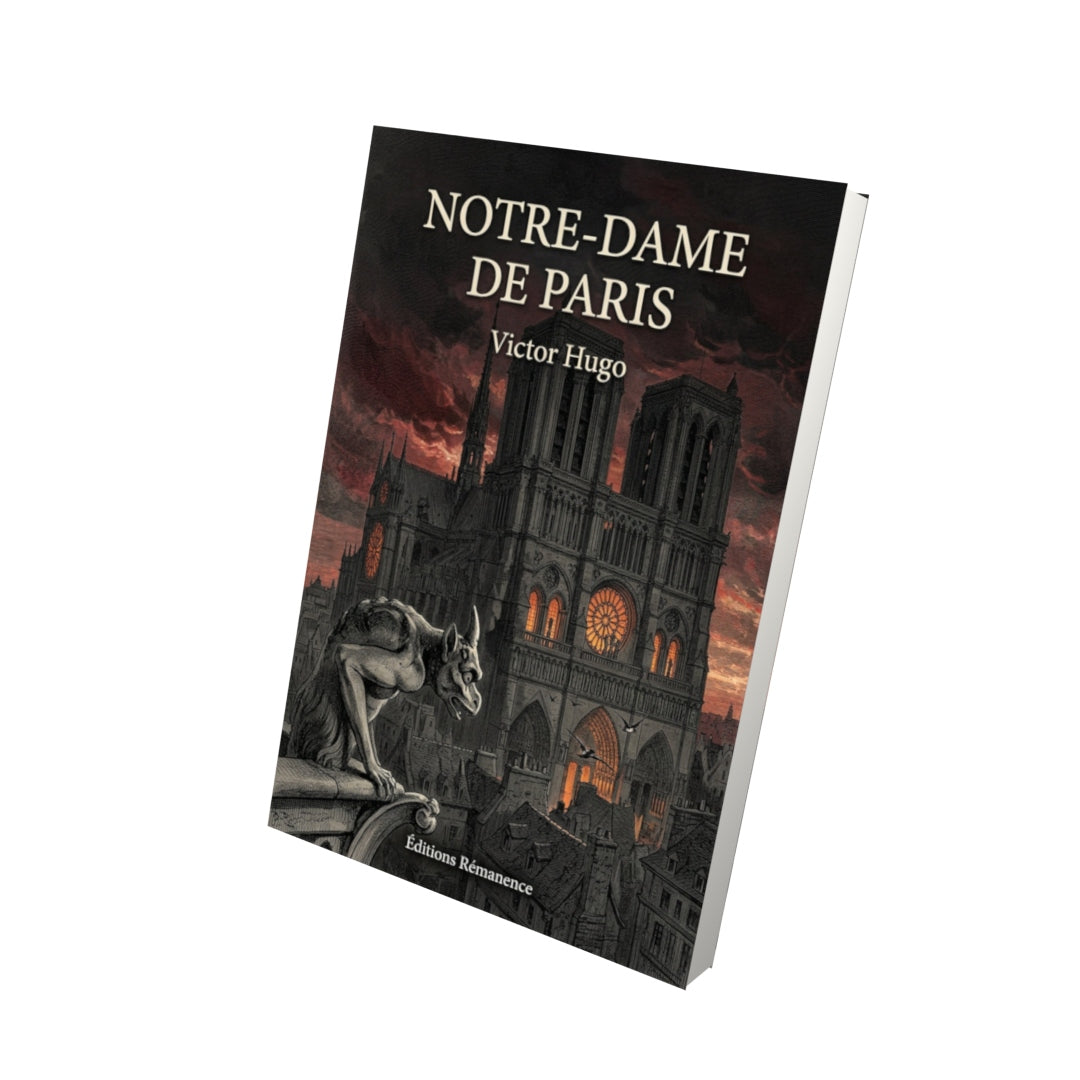 Livre Notre-Dame de Paris - Victor Hugo - Vue 3D - Editions Remanence