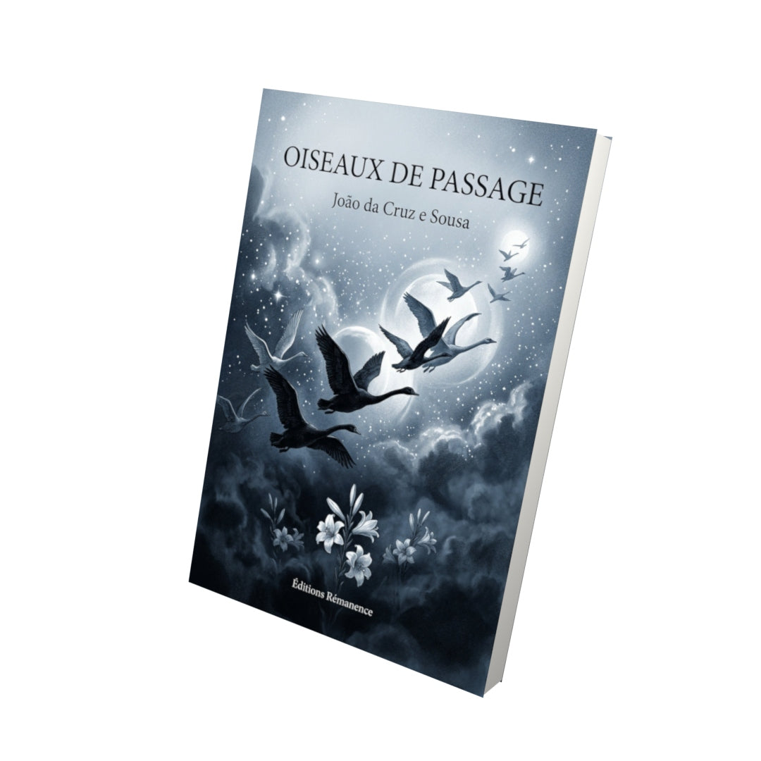 Livre Oiseaux de passage - João da Cruz e Sousa - Vue 3D - Editions Remanence