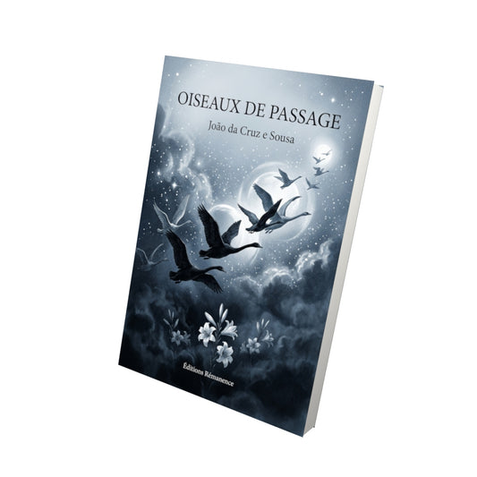Livre Oiseaux de Passage par Stanislas de Guaita - Vue 3D - Editions Remanence