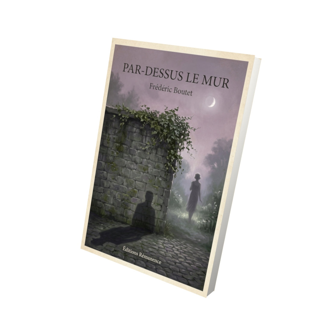 Livre Par-dessus le mur - Frédéric Boutet - Vue 3D - Editions Remanence