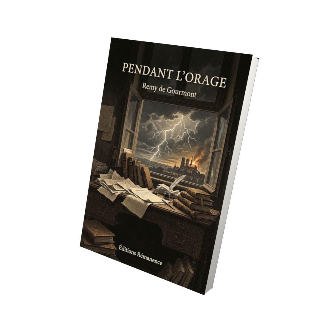 Livre Pendant l’orage par Remy de Gourmont - Vue 3D - Editions Remanence