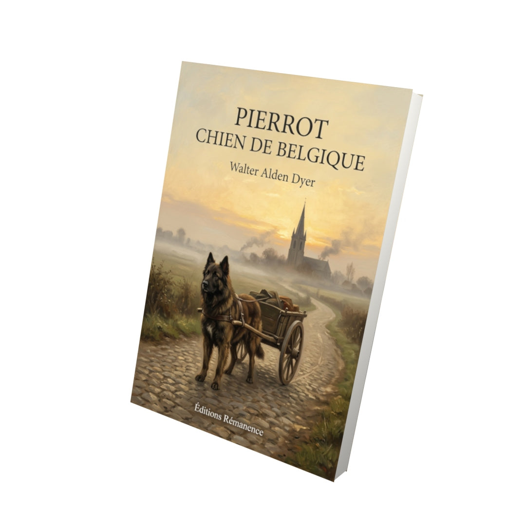 Livre Pierrot chien de Belgique par Walter Alden Dyer - Vue 3D - Editions Remanence