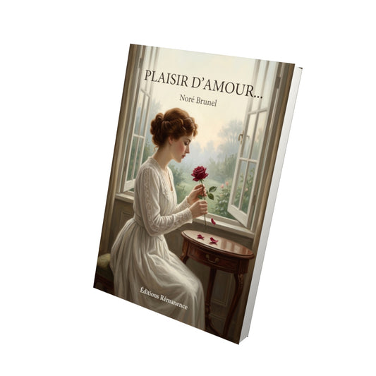 Livre Plaisir d’amour… par Noré Brunel - Vue 3D - Editions Remanence