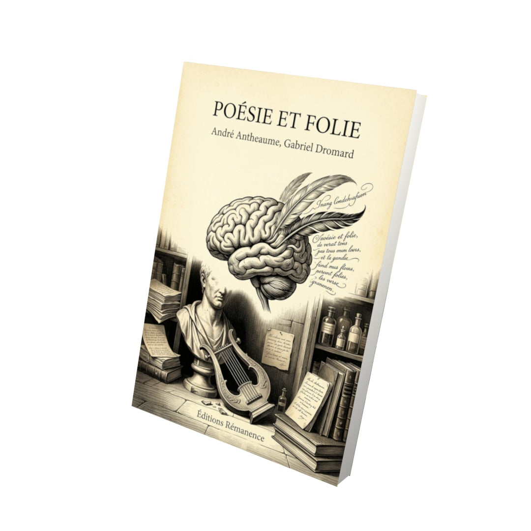 Livre Poésie et folie par André Antheaume, Gabriel Dromard - Vue 3D - Editions Remanence
