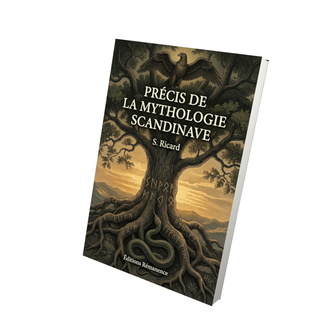 Livre Précis de la mythologie scandinave par S. Ricard - Vue 3D - Editions Remanence