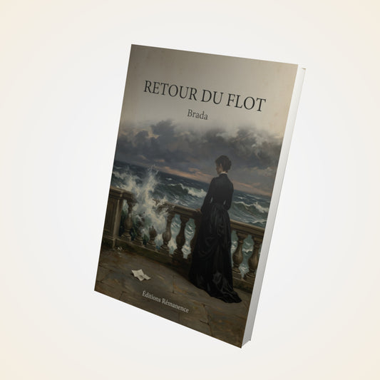 Livre Retour du flot - Brada - Couverture 3D