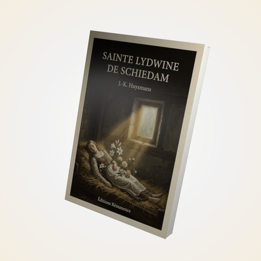 Livre Sainte Lydwine de Schiedam - J.-K. Huysmans - Couverture 3D