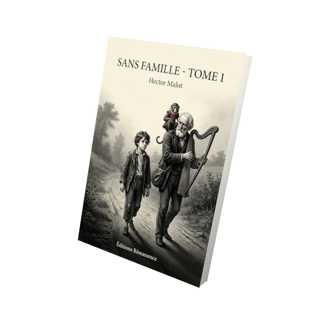 Livre Sans famille - Tome 1 par Hector Malot - Vue 3D - Editions Remanence