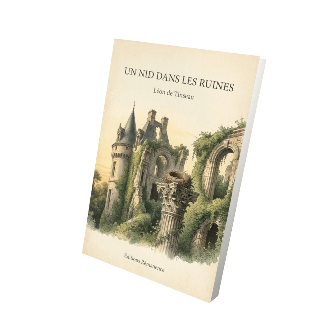 Livre Un nid dans les ruines - Léon de Tinseau - Vue 3D - Editions Remanence