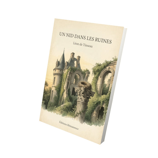 Livre Un nid dans les ruines - Léon de Tinseau - Vue 3D - Editions Remanence